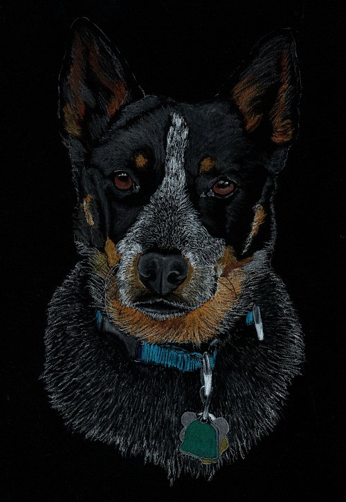 Remington - charcoal, 8 x 10