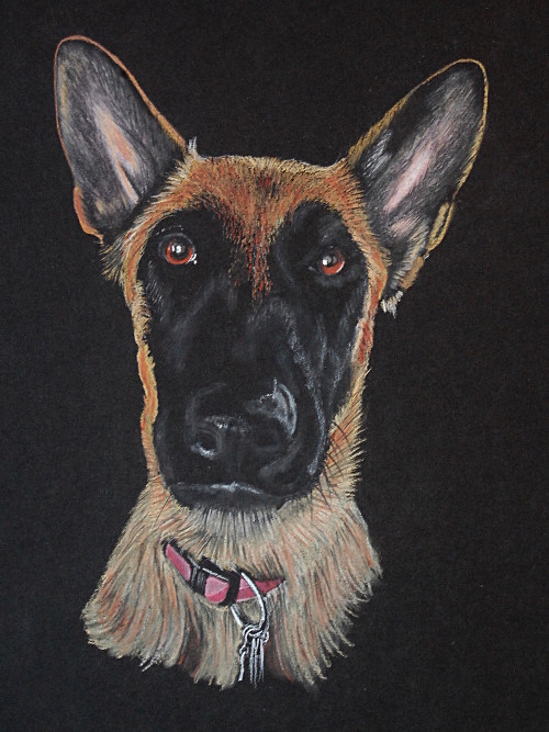 Gypsy - pastel on paper 9 x 12     2016