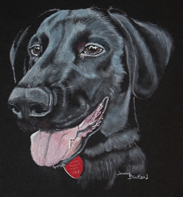 Apollo - charcoal on paper, 9 x 12        2016