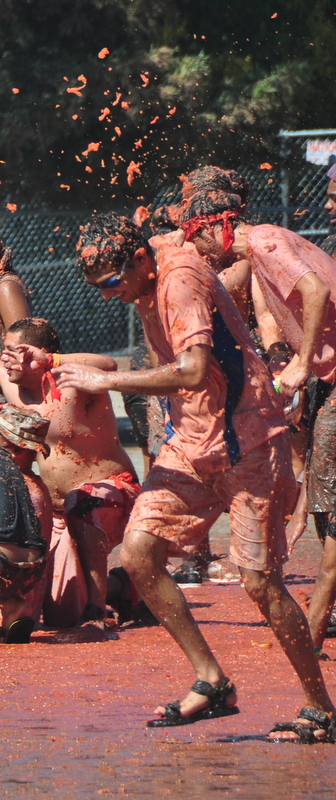 DSC_3460.JPG