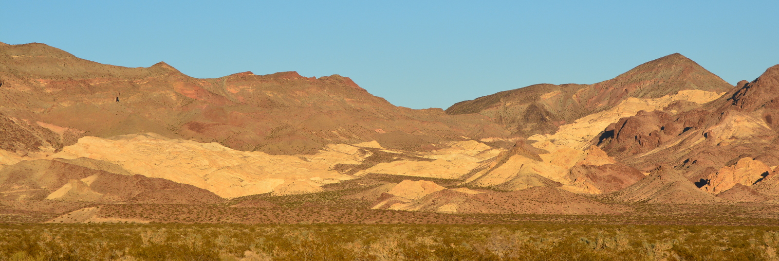 DSC_8261.JPG