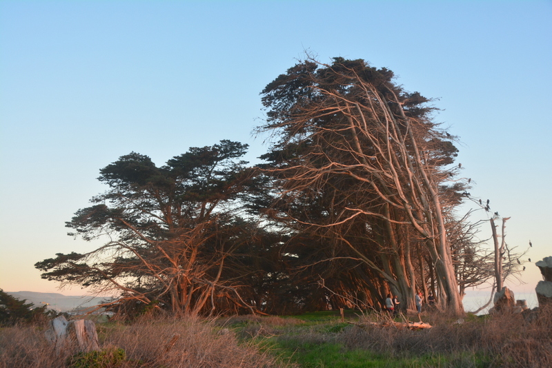 DSC_5662-001.JPG