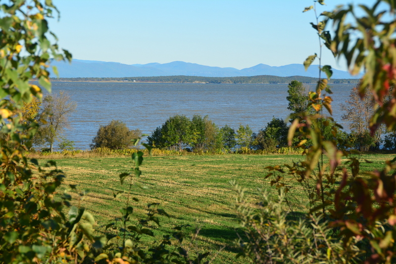 DSC_6033-002.JPG