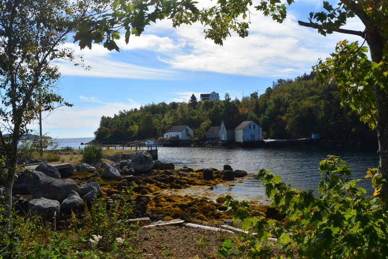 DSC_2742-002.JPG
