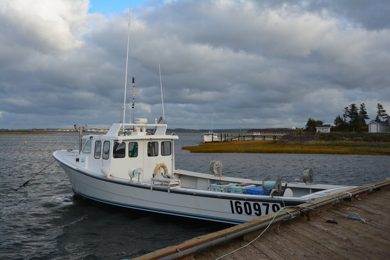 DSC_8542-001.JPG