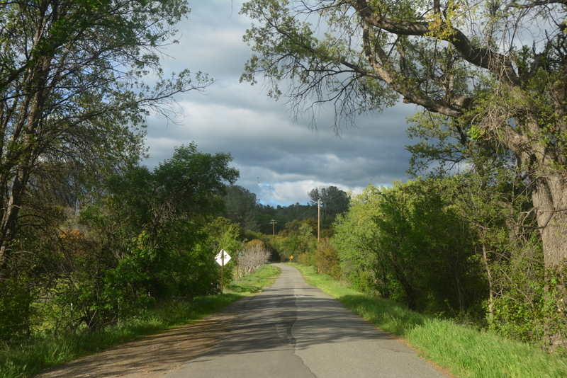 DSC_8096-002.JPG