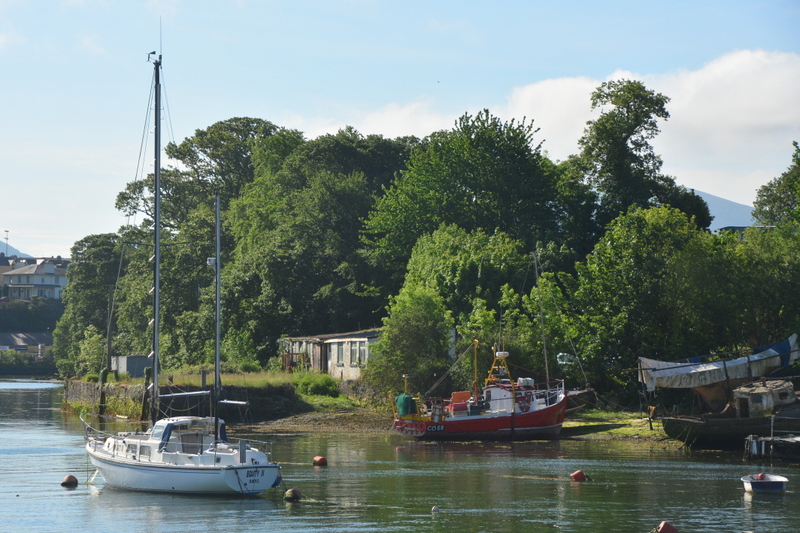 DSC_7292-002.JPG