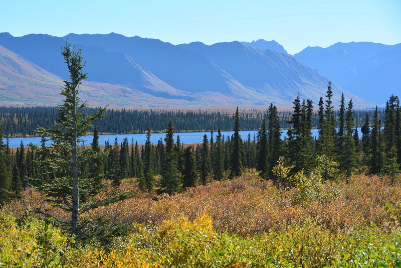 DSC_2157-002.JPG