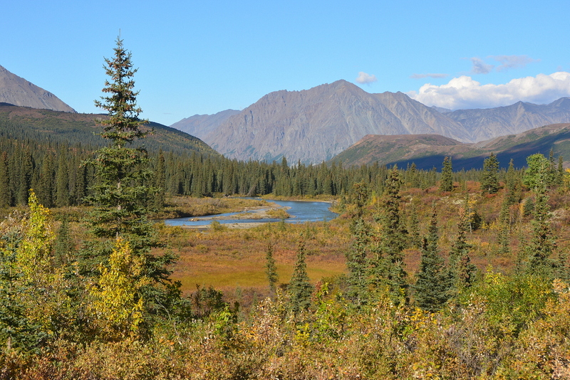 DSC_2220-002.JPG