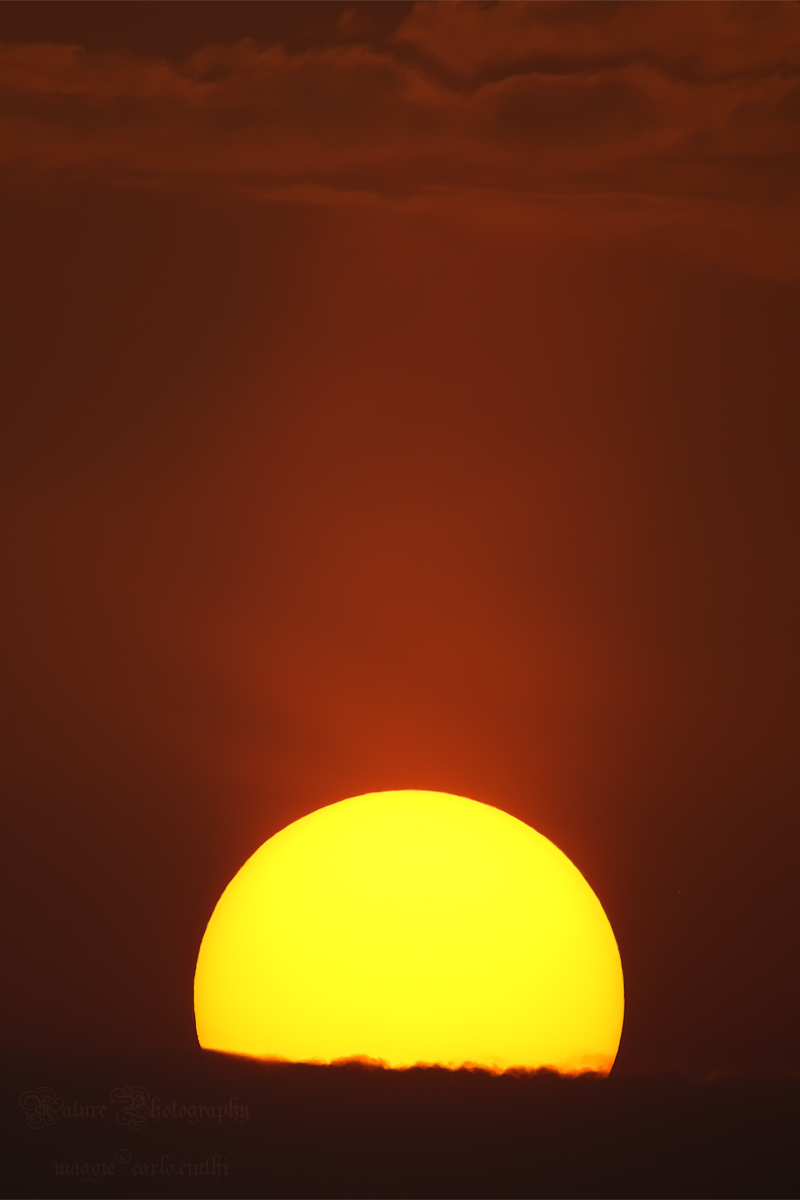 Alba