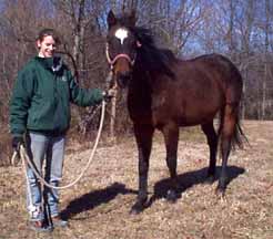 04 Erica with her horses, Spring