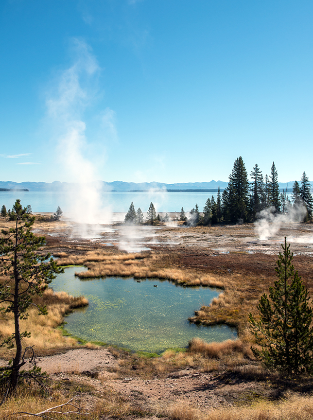 Hot springs on the shore of Yellowstone lake