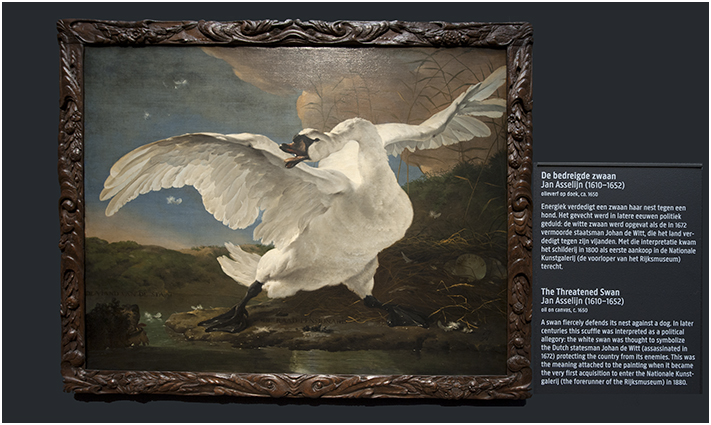 Rijksmuseum - de bedreigde zwaan - olieverf op doek