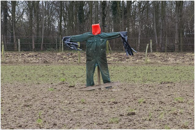 Limburg