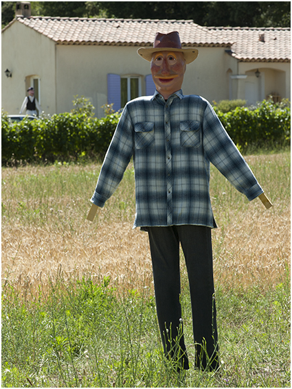 Provence - Zuid Frankrijk