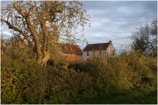 pasture and farmer`s house