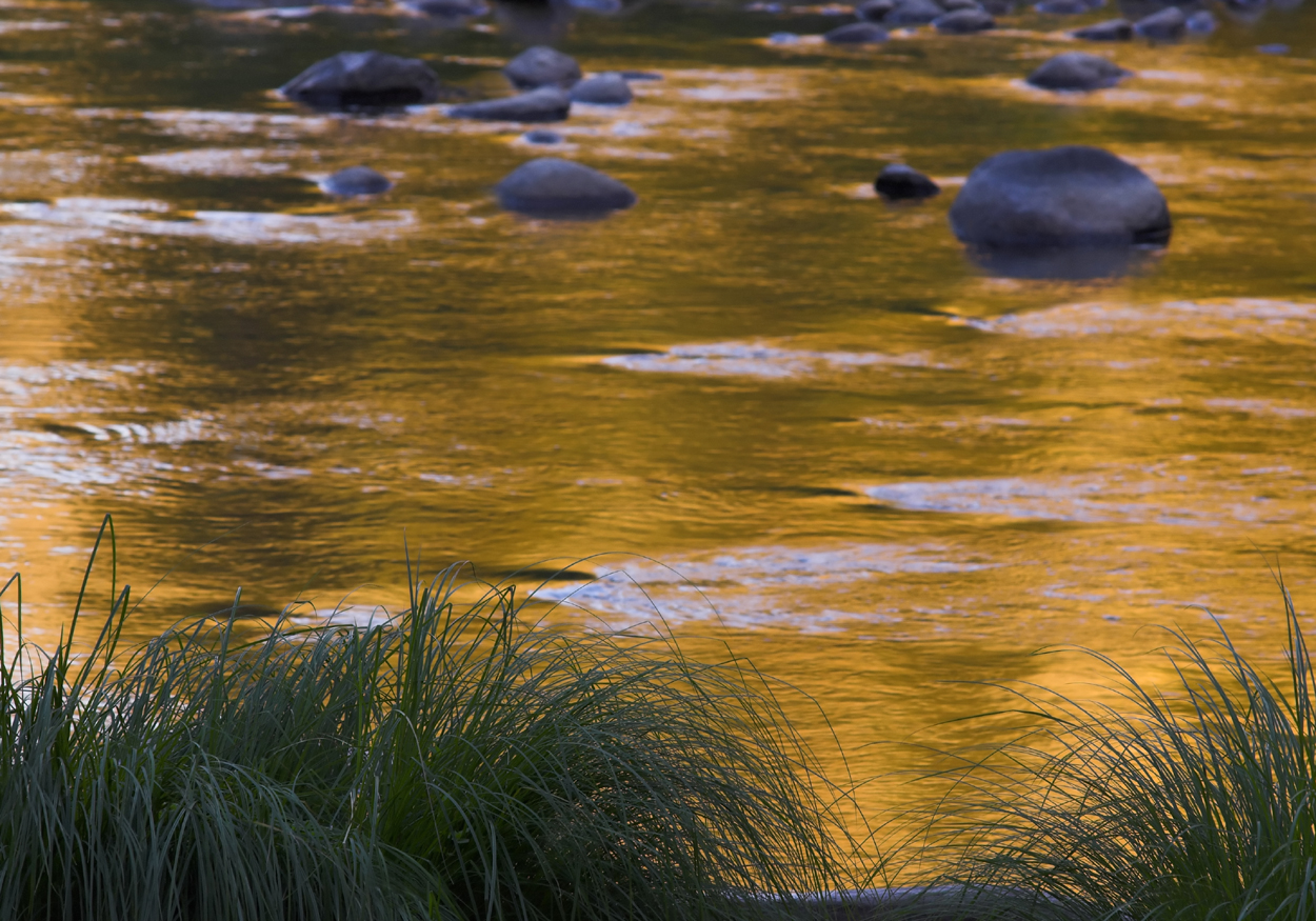River of Gold.jpg