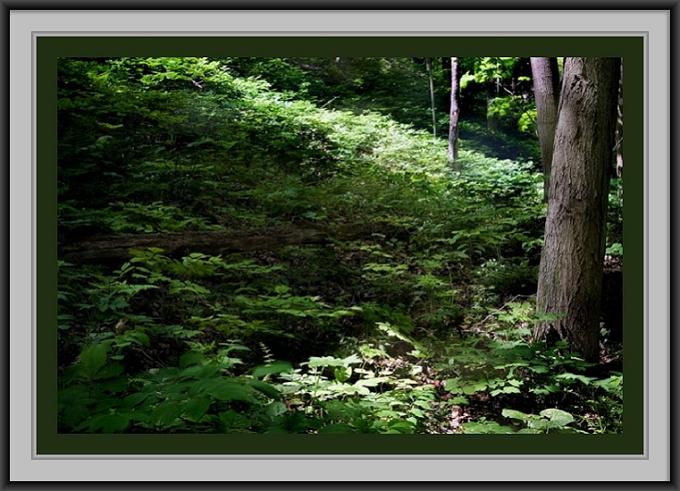 Akron State Park, NY
