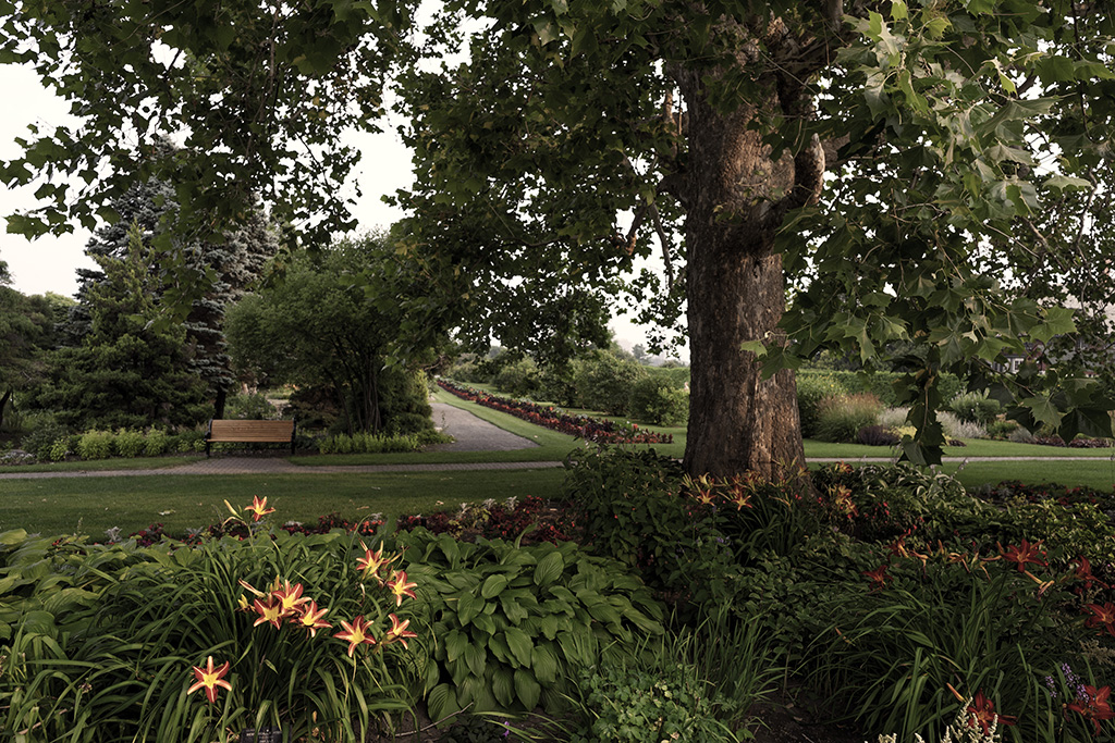 Experimental Farm