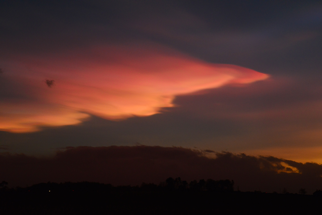 DSC_8387_pbase.jpg
