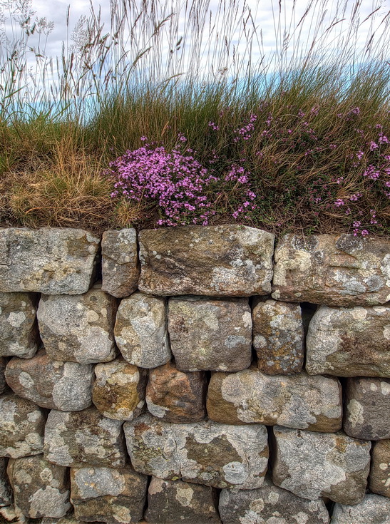 Hadrians Wall close-up