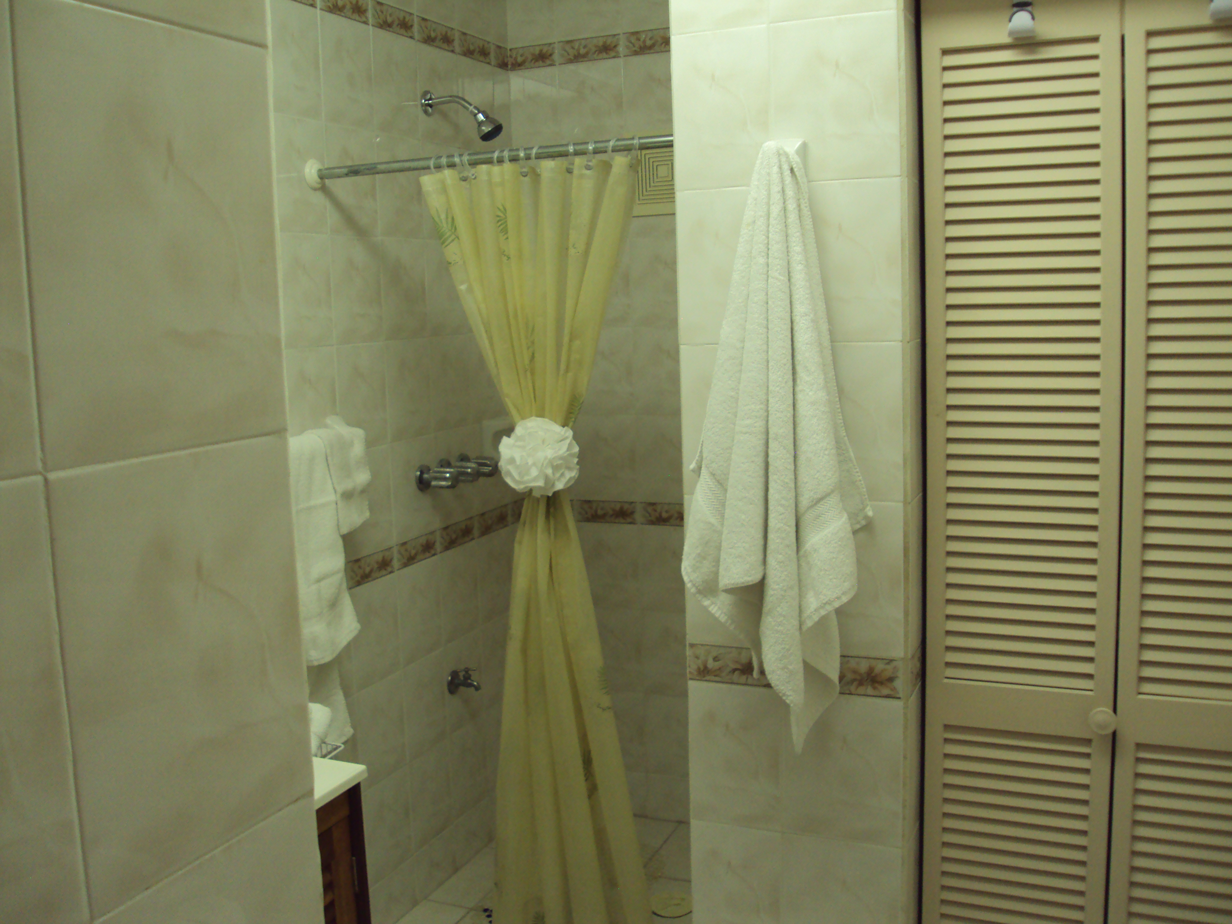 CONDO 120 11-11-2014 020.JPG