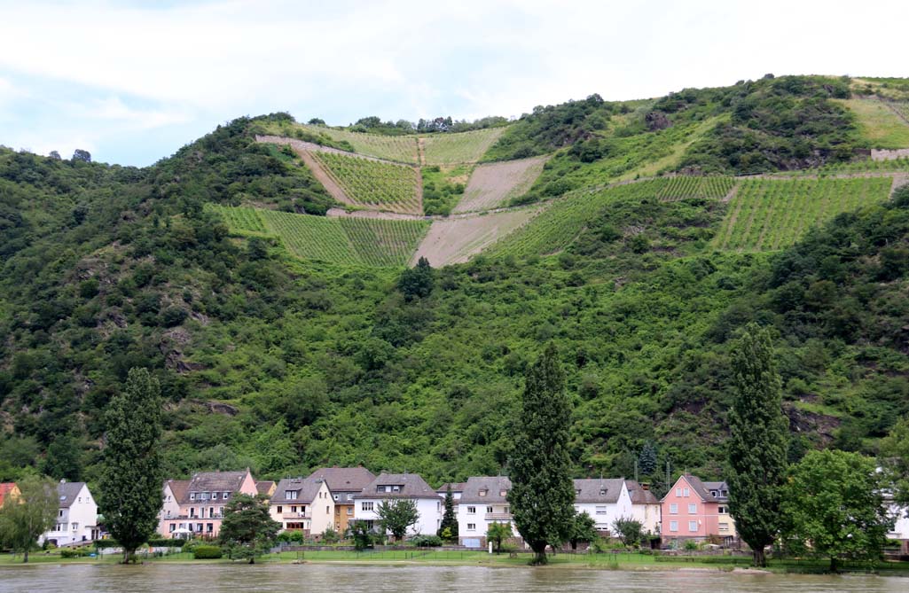 CRUISING TOWARDS MILTENBERG