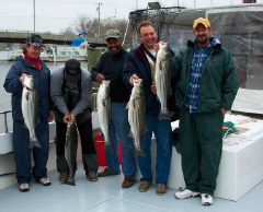 o9/69/1117069/1/154843051.6ntIjZJJ.Bigfish_0002.jpg