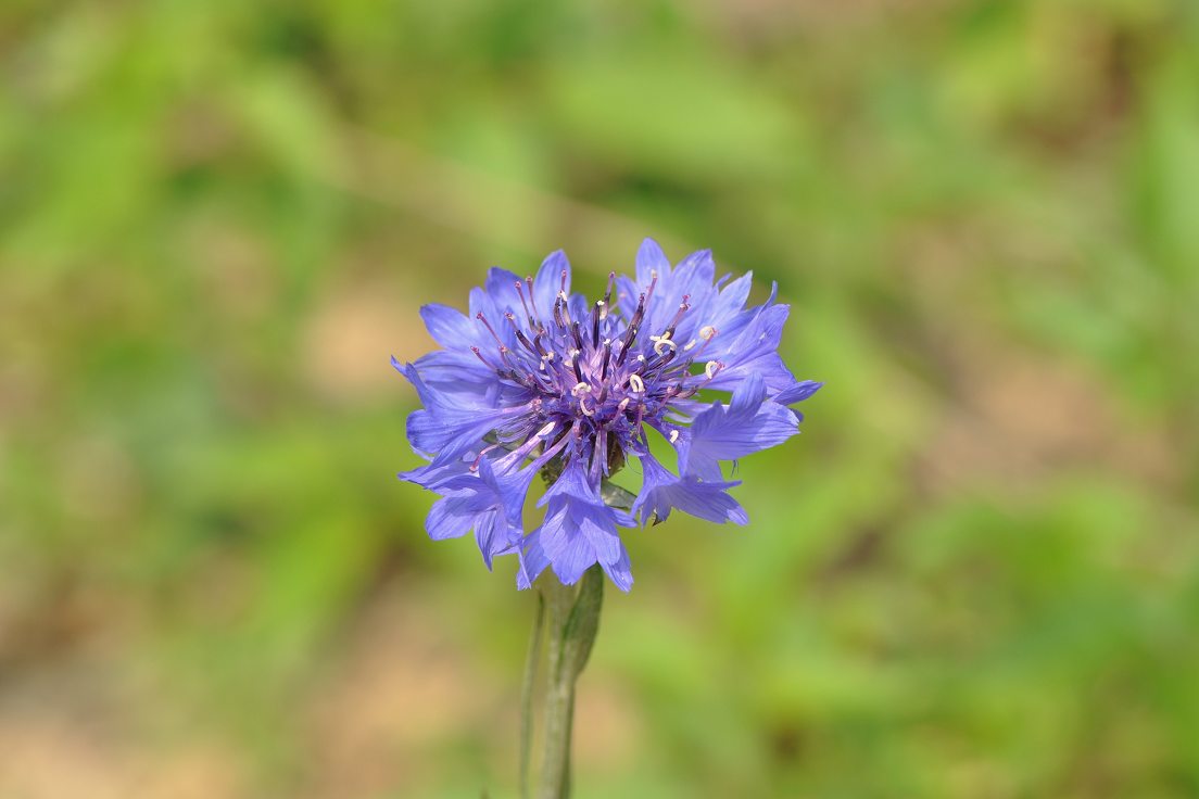 ae022.jpg