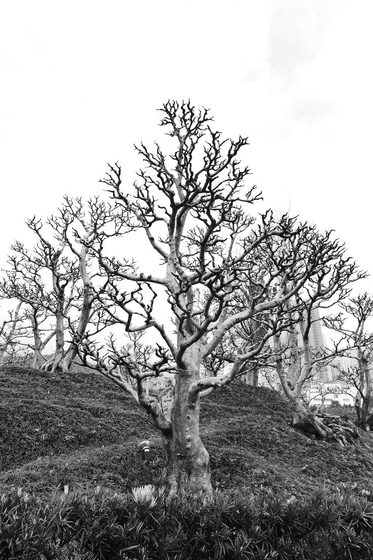 ad022.JPG