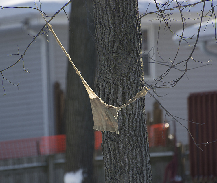 january_2014