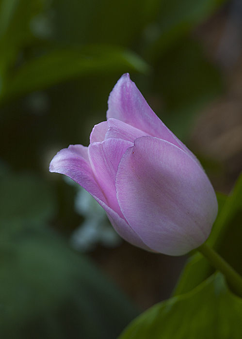 may_2015
