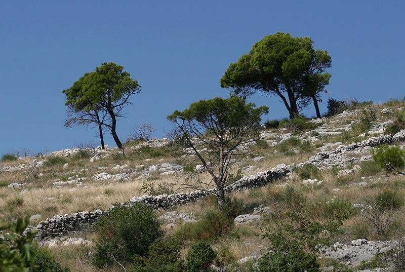 near Trogir