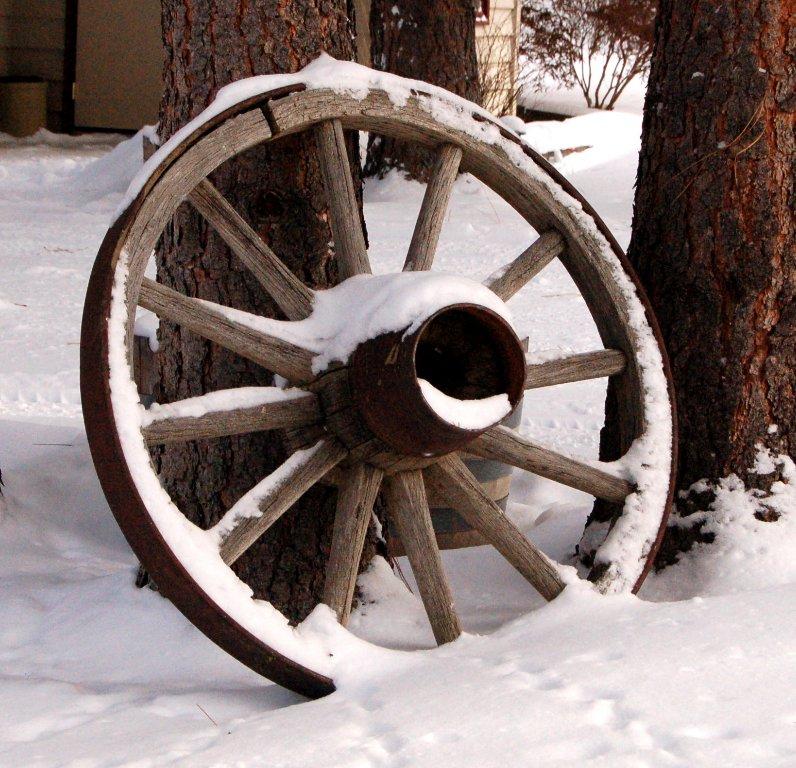 DSC_7793.JPG