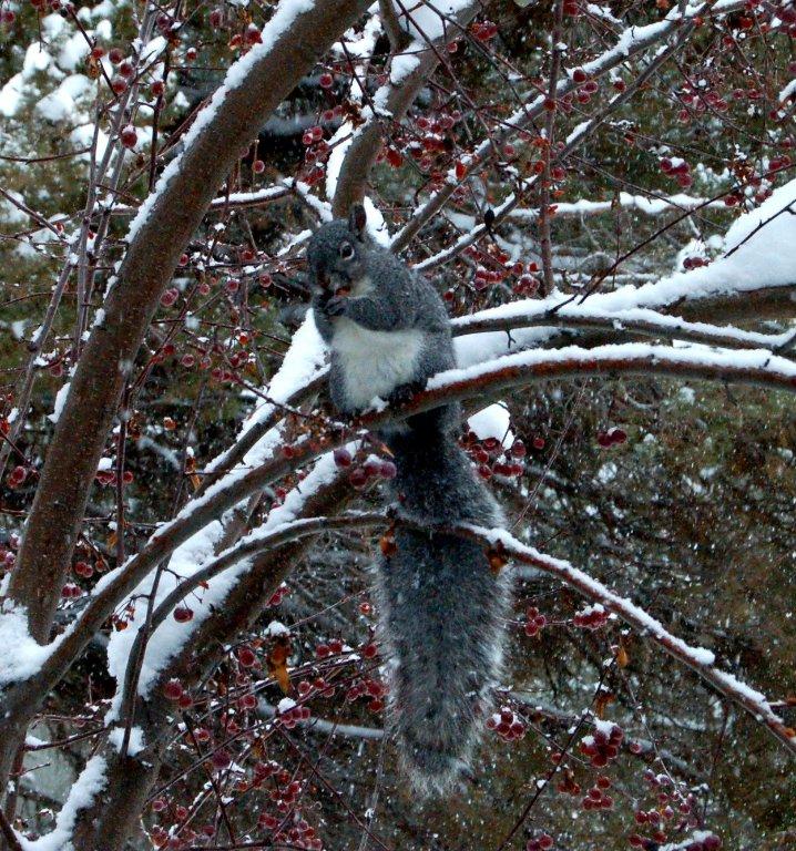 DSC_7819.JPG