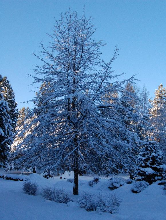 DSC_7888.JPG