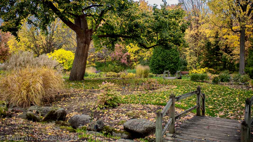 Jardin dautomne_Autumn garden