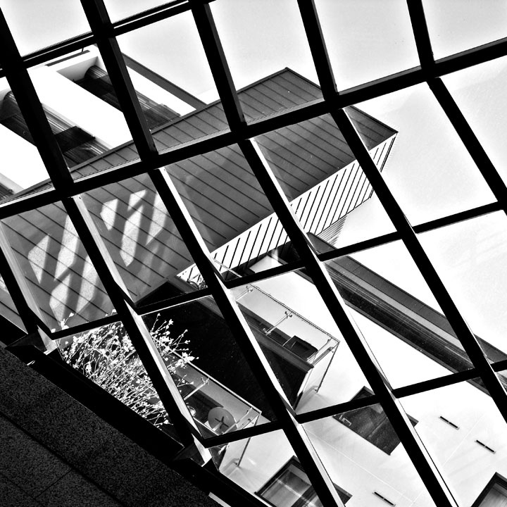 Through The Window