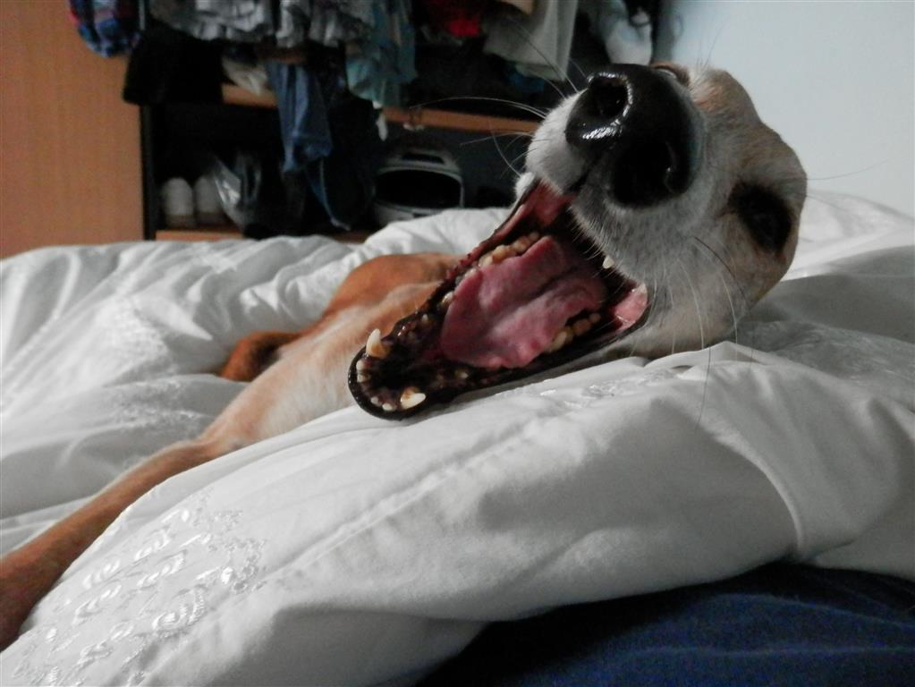 Shes clearly very tired