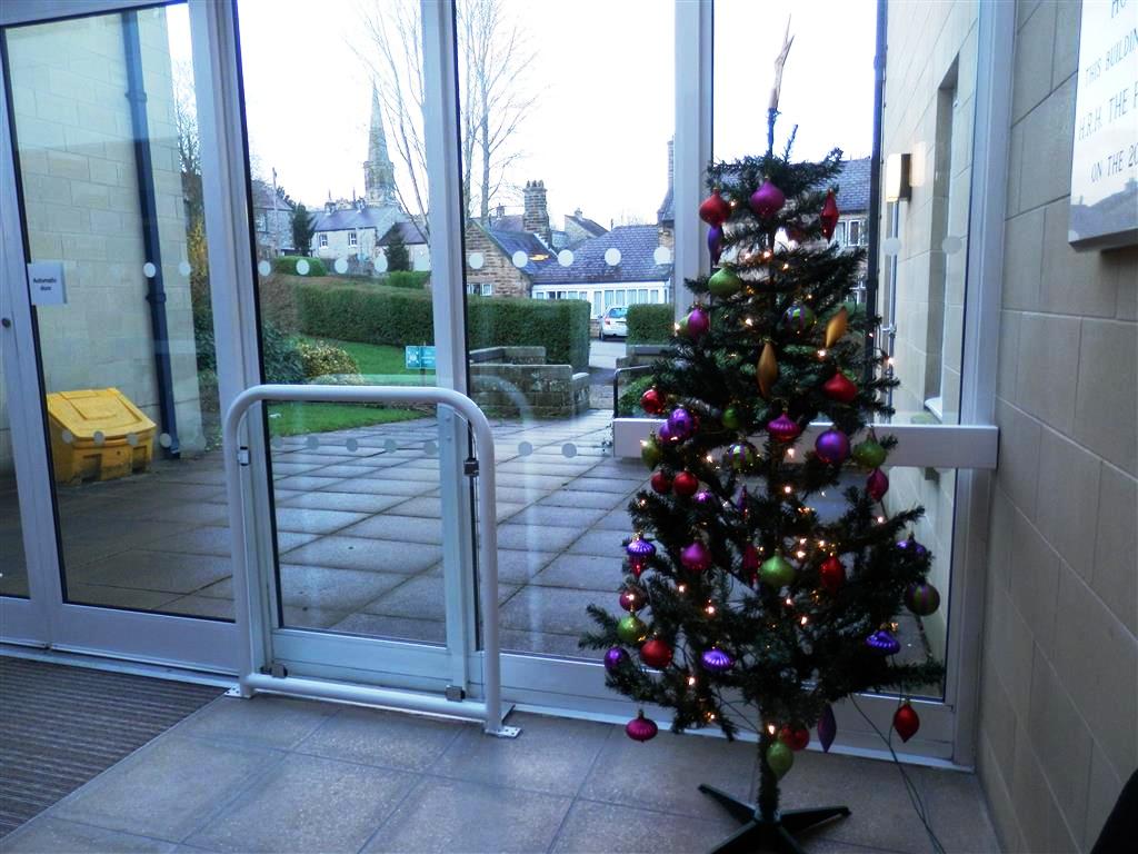 Level 2 tree