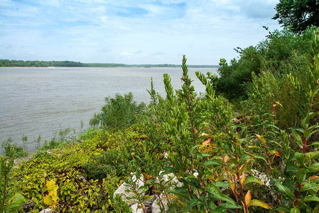 Big Muddy