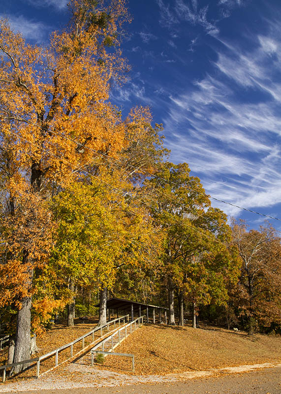 Shelter at Whiteville Lake 