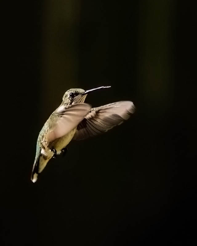 Hummer2