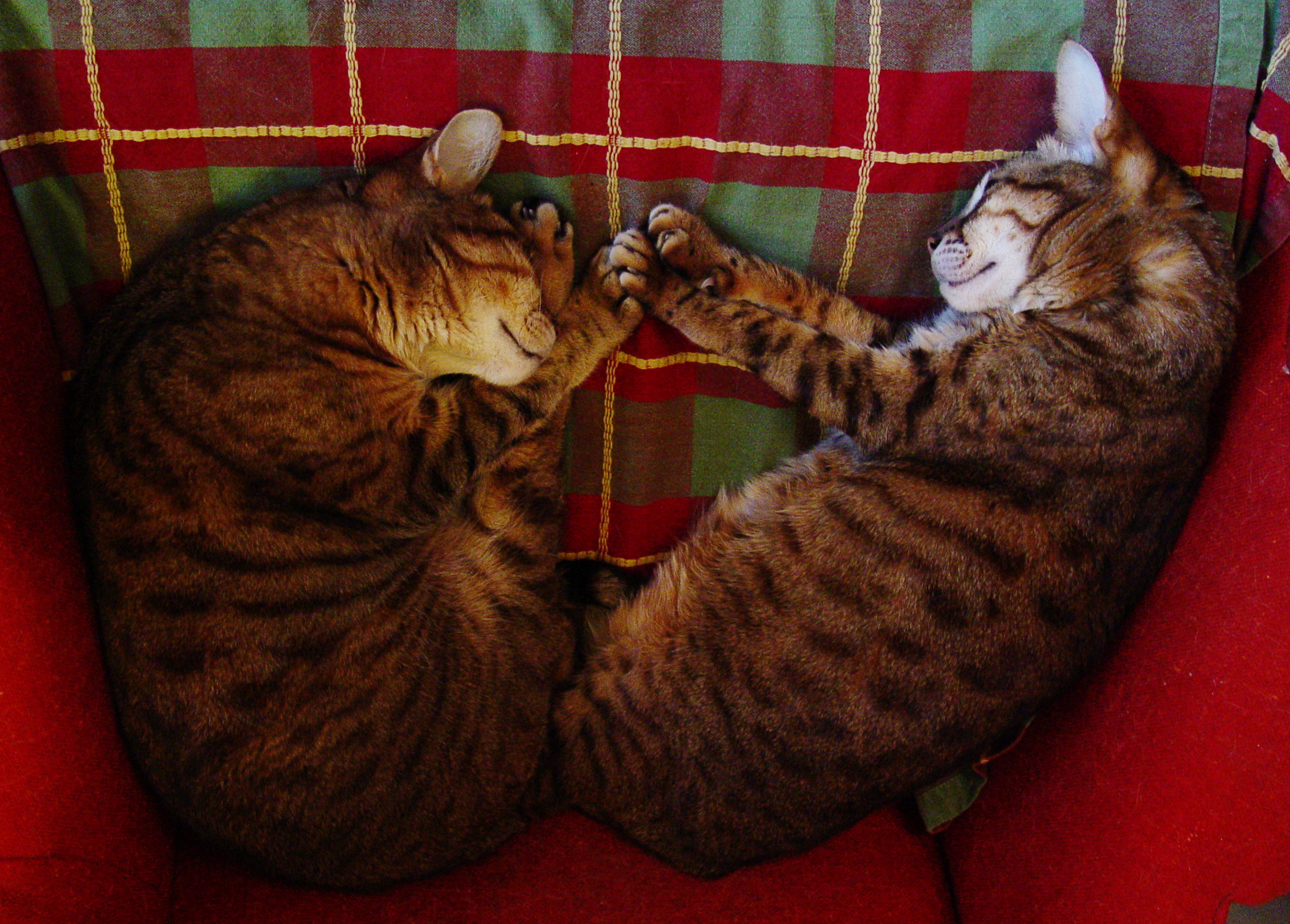 Fred & Ethel
