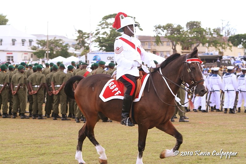 Royal Barbados Police Force Mounted Division