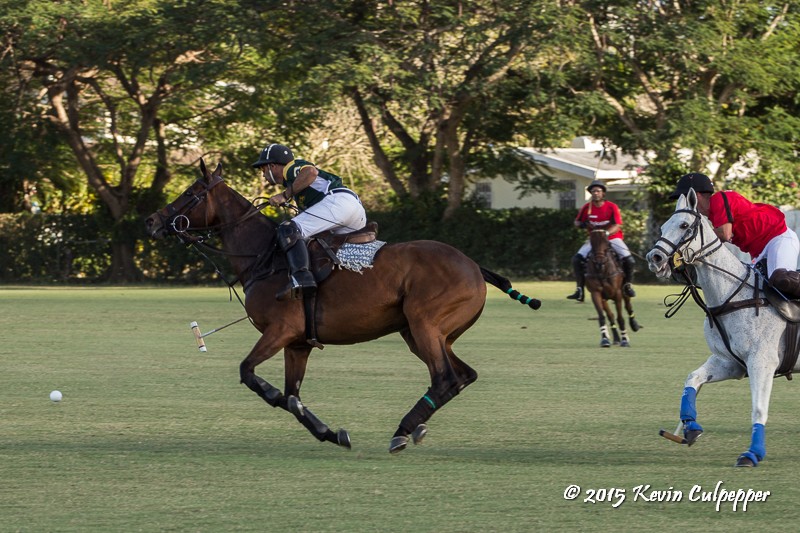 Polo
