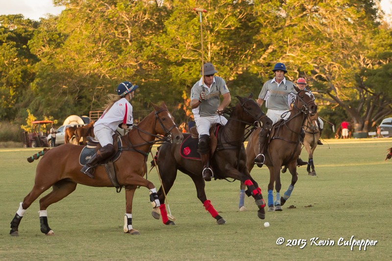 Polo