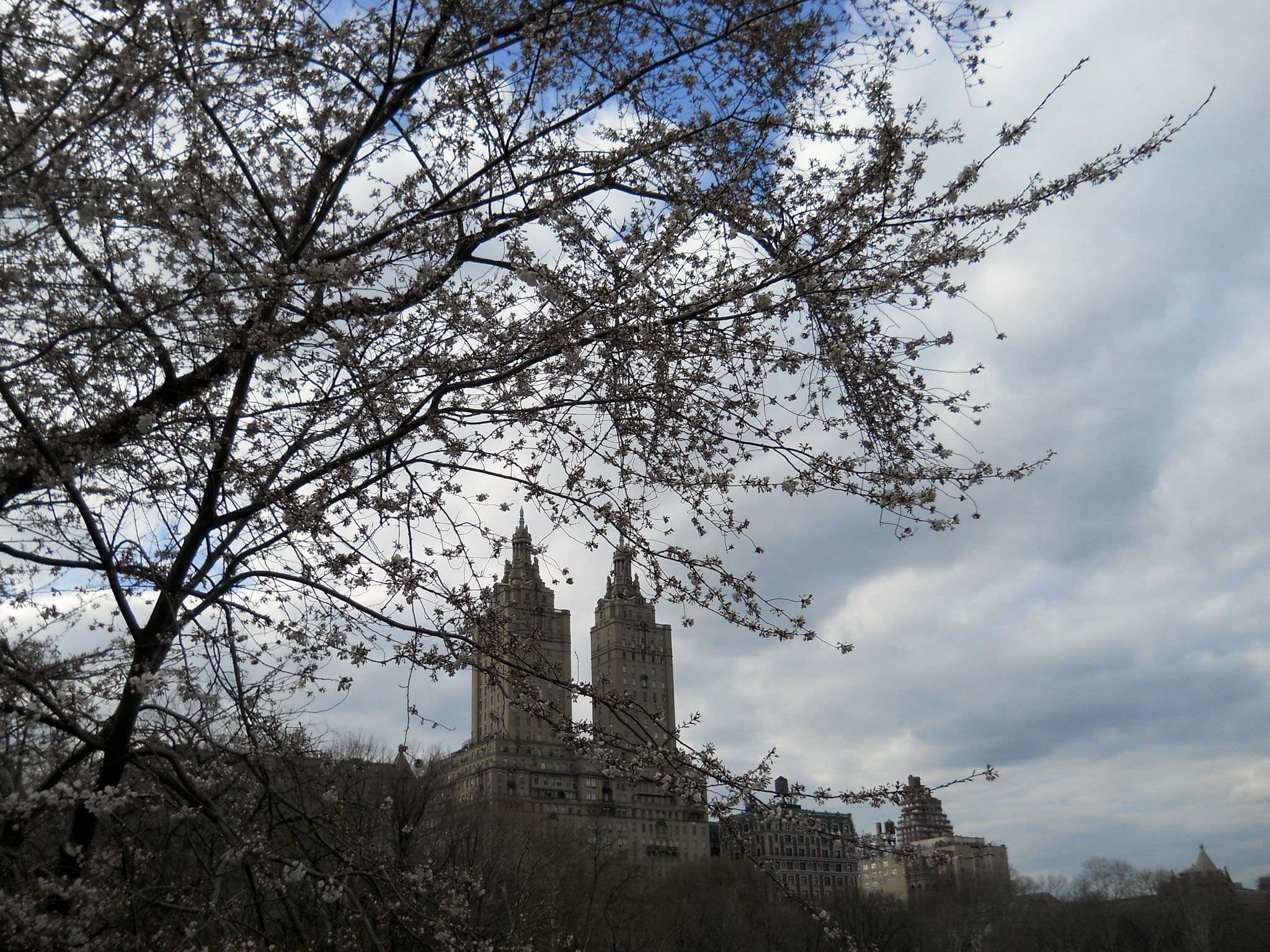 Dscn3610.jpg