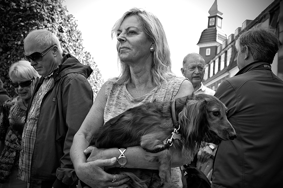 A lady and her dog