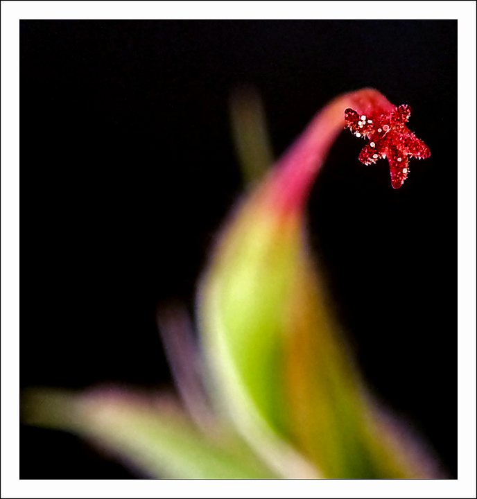 CameraZOOM-20150709160512383.jpg